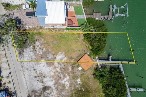 Land in Treasure Island, Florida № 1632208 - photo 2