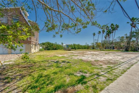 Land in Treasure Island, Florida № 1632208 - photo 8