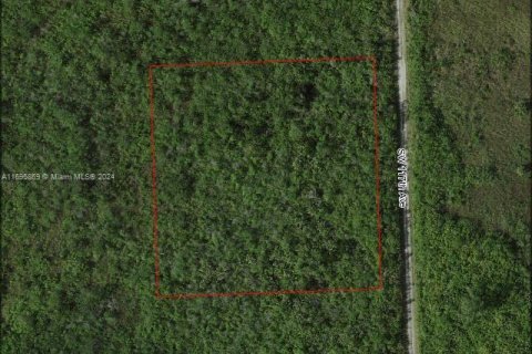 Propiedad comercial en venta en Homestead, Florida № 1943152 - foto 2
