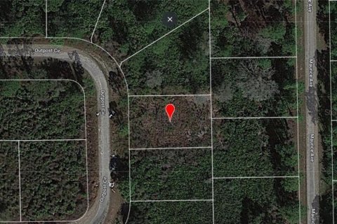 Land in Lehigh Acres, Florida № 2159651 - photo 2