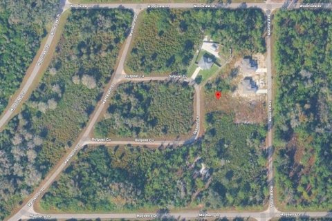 Land in Lehigh Acres, Florida № 2159651
