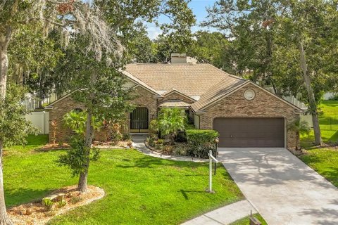 House in Valrico, Florida 3 bedrooms, 171.4 sq.m. № 1904936 - photo 1