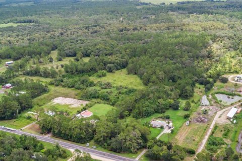 Terreno en venta en Bunnell, Florida № 1879867 - foto 20