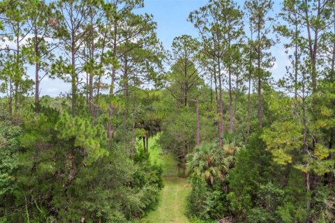 Terreno en venta en Bunnell, Florida № 1879867 - foto 8