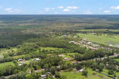 Terreno en venta en Bunnell, Florida № 1879867 - foto 15