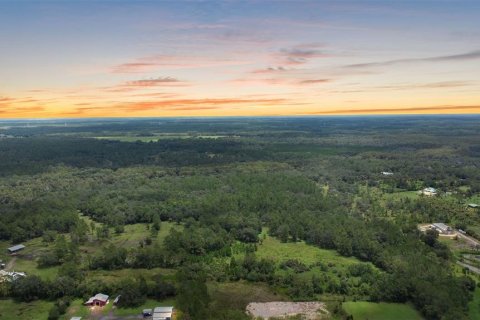 Terreno en venta en Bunnell, Florida № 1879867 - foto 12
