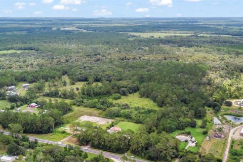 Terreno en venta en Bunnell, Florida № 1879867 - foto 19