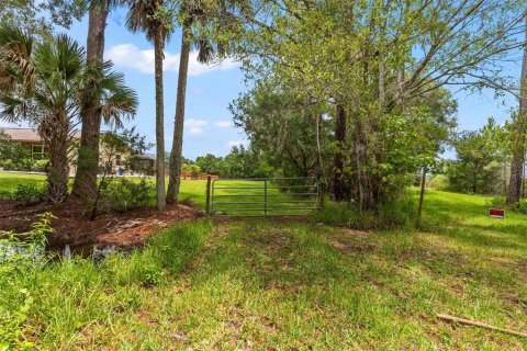 Terreno en venta en Bunnell, Florida № 1879867 - foto 28