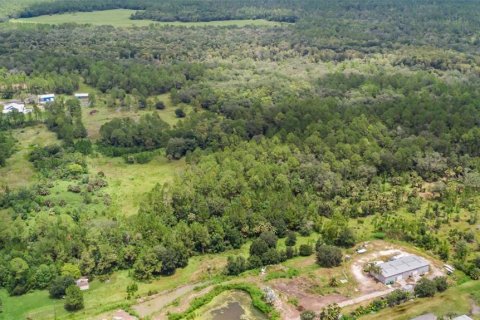 Terreno en venta en Bunnell, Florida № 1879867 - foto 22