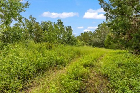 Terreno en venta en Bunnell, Florida № 1879867 - foto 30
