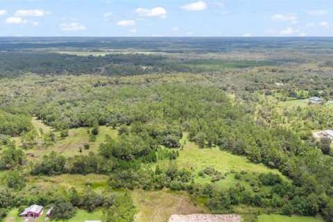 Terreno en venta en Bunnell, Florida № 1879867 - foto 10