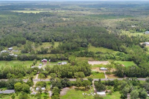 Terreno en venta en Bunnell, Florida № 1879867 - foto 17