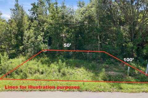Land in Ocala, Florida № 2231693