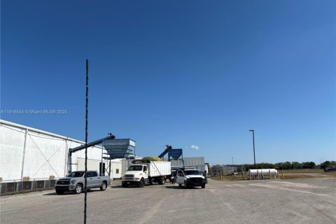 Купить коммерческую недвижимость в Клуистон, Флорида № 2035073 - фото 3