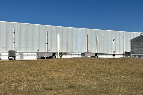 Купить коммерческую недвижимость в Клуистон, Флорида № 2035073 - фото 7