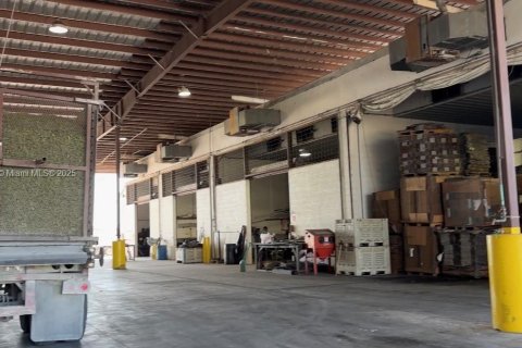 Купить коммерческую недвижимость в Клуистон, Флорида № 2035073 - фото 21