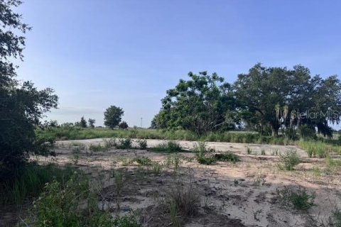 Land in Fort Meade, Florida № 1773817 - photo 8