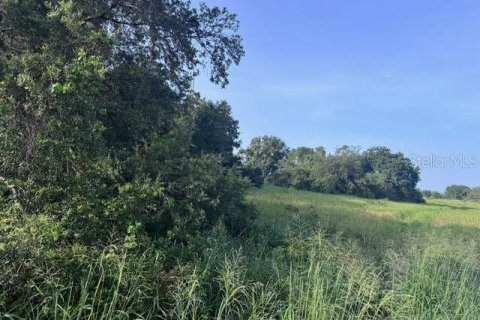 Land in Fort Meade, Florida № 1773817 - photo 6