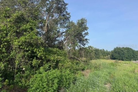 Land in Fort Meade, Florida № 1773817 - photo 4