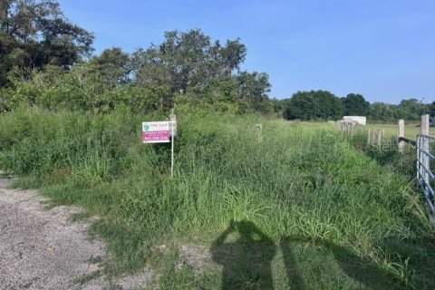 Land in Fort Meade, Florida № 1773817 - photo 2