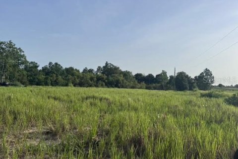 Land in Fort Meade, Florida № 1773817 - photo 7