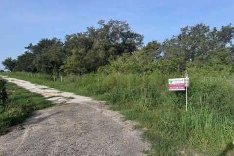 Land in Fort Meade, Florida № 1773817 - photo 3