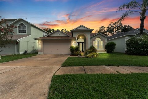 Villa ou maison à louer à Tampa, Floride: 3 chambres, 209.31 m2 № 1894727 - photo 1