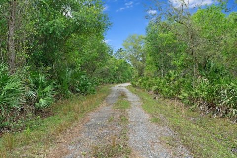 Land in Okeechobee, Florida № 2298941 - photo 5
