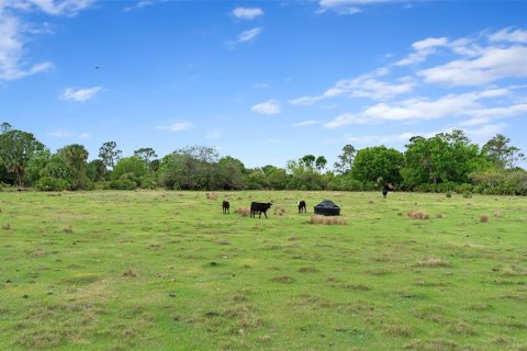 Land in Okeechobee, Florida № 2298941 - photo 8
