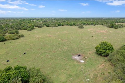 Land in Okeechobee, Florida № 2298941 - photo 2