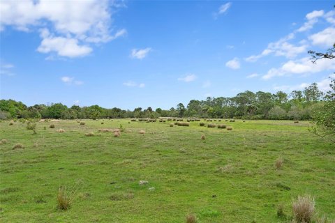 Land in Okeechobee, Florida № 2298941 - photo 9
