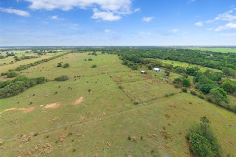Land in Okeechobee, Florida № 2298941 - photo 11
