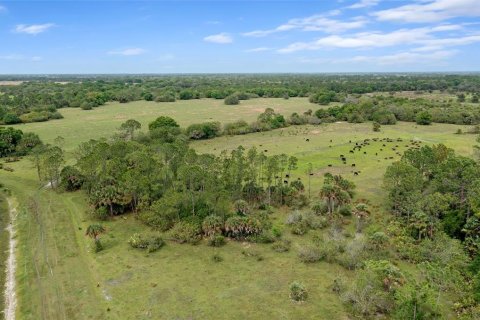 Land in Okeechobee, Florida № 2298941 - photo 7