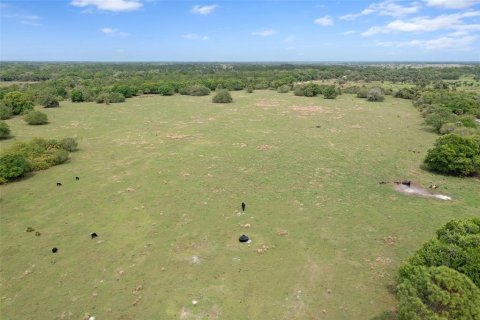 Land in Okeechobee, Florida № 2298941 - photo 3