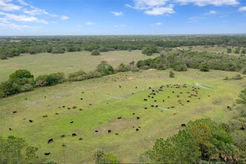 Land in Okeechobee, Florida № 2298941 - photo 4