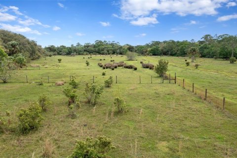 Land in Okeechobee, Florida № 2298941 - photo 6