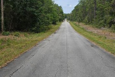 Terrain à vendre à Dunnellon, Floride № 2160057 - photo 4