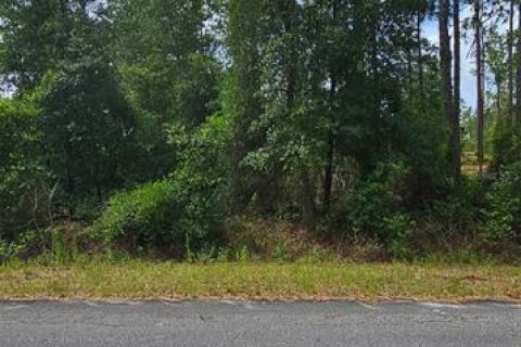 Terrain à Dunnellon, Floride № 2160057