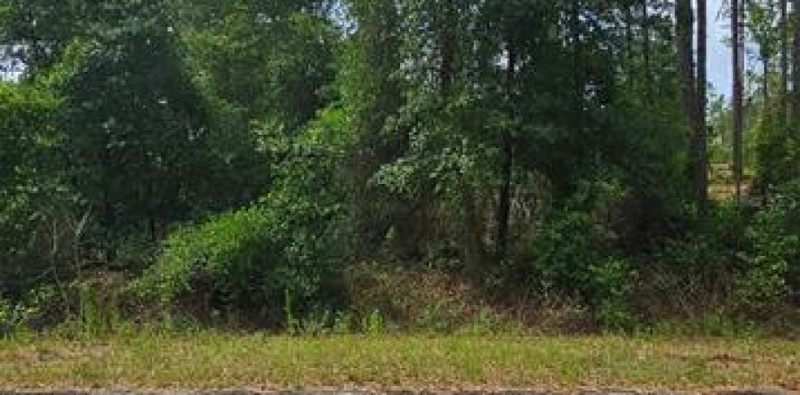 Terrain à Dunnellon, Floride № 2160057