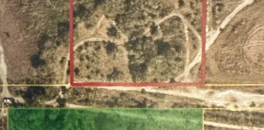 Propiedad comercial en Okeechobee, Florida № 2081483