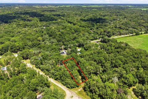 Land in Fanning Springs, Florida № 2355759