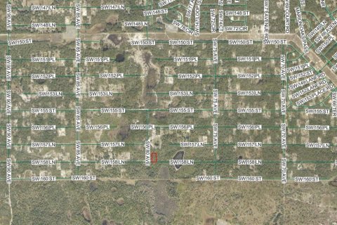 Land in Dunnellon, Florida № 2229045 - photo 7