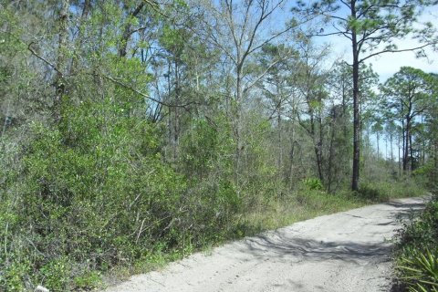 Land in Dunnellon, Florida № 2229045 - photo 17