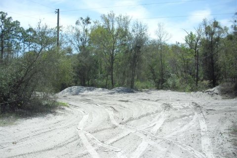 Land in Dunnellon, Florida № 2229045 - photo 10