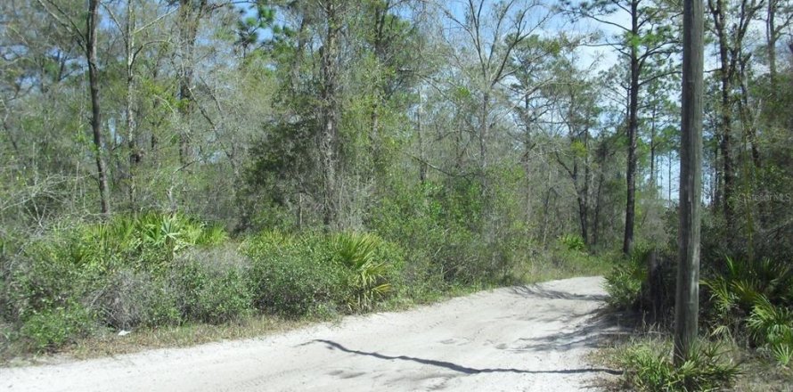 Land in Dunnellon, Florida № 2229045