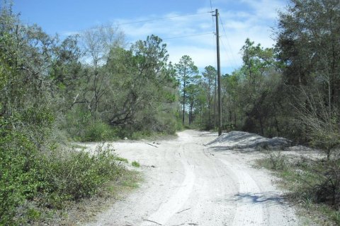 Land in Dunnellon, Florida № 2229045 - photo 14