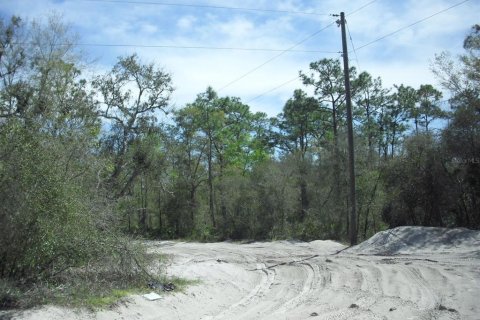 Land in Dunnellon, Florida № 2229045 - photo 11