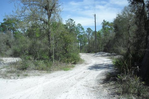 Land in Dunnellon, Florida № 2229045 - photo 13
