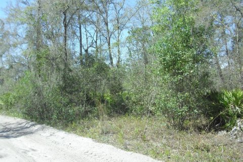 Land in Dunnellon, Florida № 2229045 - photo 3