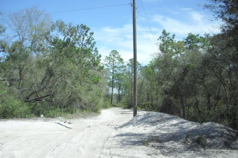 Land in Dunnellon, Florida № 2229045 - photo 15
